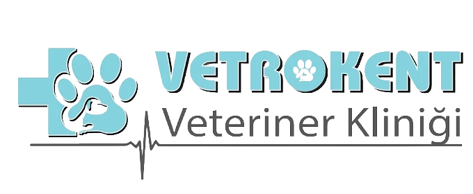 Vetrokent logosu